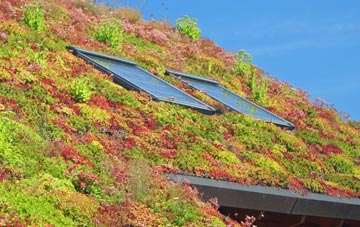 Woodloes Park living roof systems