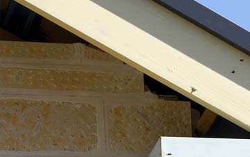 soffit repair Woodloes Park